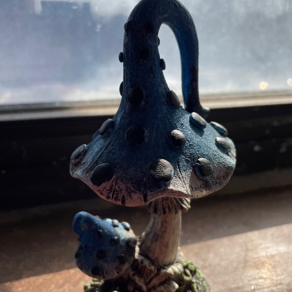 Garden mushroom - Picture 3 of 4